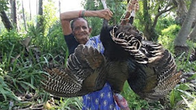 How To Cook Turkey Biryani Recipe Cooking Full Turkey Biryani Myna Street Food