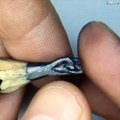 This guy turns pencil tips into artistic