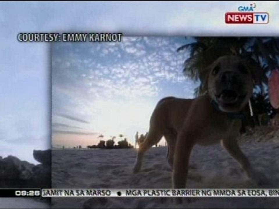 Bonding ng isang german national at asong askal, trending sa social media