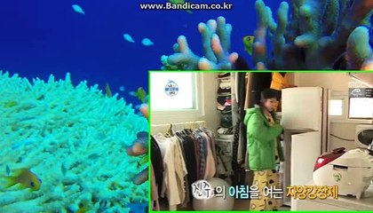 사설토토솔루션 새로운게임접목 바카라솔루션 카톡haricuty스카이프cuty hary