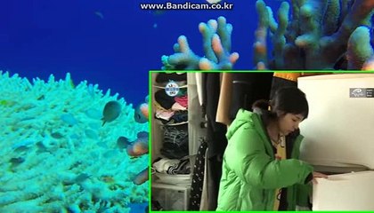 사설토토솔루션 안의 또다른형식 토토솔루션바카라 카톡haricuty스카이프cuty hary