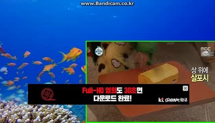 토토솔루션과 바카라와함께 사장님들 어서오세요 카톡haricuty스카이프cuty hary