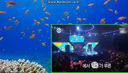 바카라와토토솔루션의 콜라브레이션 카톡haricuty스카이프cuty hary