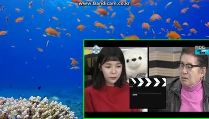 비케이소프트 바카라시스템 자동 최초도입 카톡haricuty스카이프cuty hary