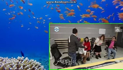 토토솔루션 바카라시스템 최초 도입 카톡haricuty스카이프cuty hary