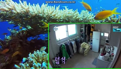 편리한기능 사장님과 피드백 중요시하는 24시간 솔루션