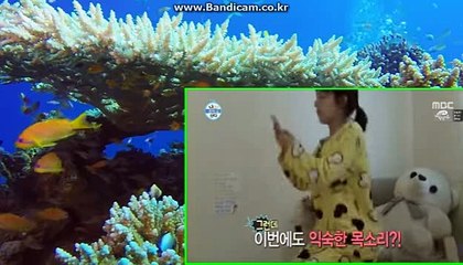 강요같은거 없습니다. 믿고이용하세요 CODSOFT 솔루션 사설사이트 토토솔루션 토토임대 등 각종 솔루션 제작해드립니다.