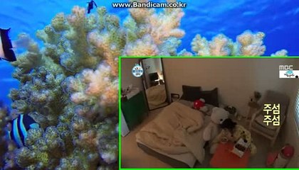 토토 솔루션 제작 CODSOFTsolution