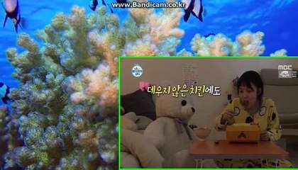 믿을수있는 토토 솔루션 판매 COD-SOFT COD소프트