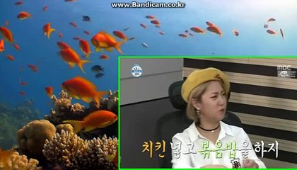 강요하지 않습니다 COD-SOFT 솔루션 토토사이트 제작합니다.