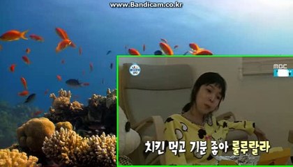강요하지 않는 솔루션 CODSOFT 여기저기 알아보시고 기능 젤 좋은곳 사용하세요