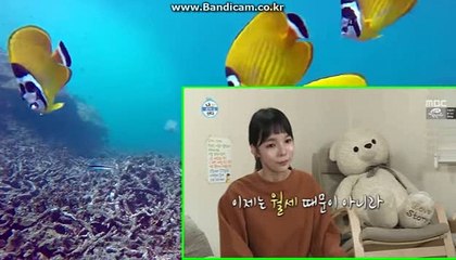 토토솔루션입니다.올자동입니다. 카톡haricuty스카이프cuty hary
