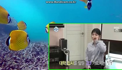 사설사이트창업하실분 연락주세요. 카톡haricuty스카이프cuty hary