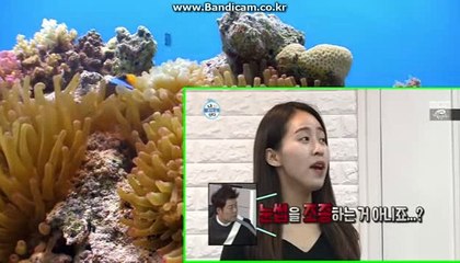 CODSOFT토토솔루션시스템 큐티하리 카톡haricuty스카이프cuty hary