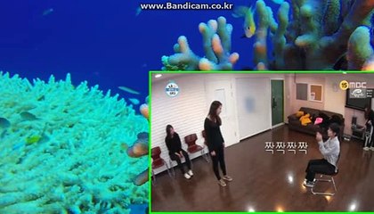 토토솔루션,솔루션소스 올자동 つそ카톡haricuty스카이프cuty hary