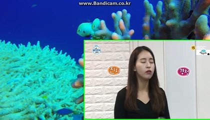 どど토토솔루션でで솔루션소스 올자동 카톡haricuty스카이프cuty hary