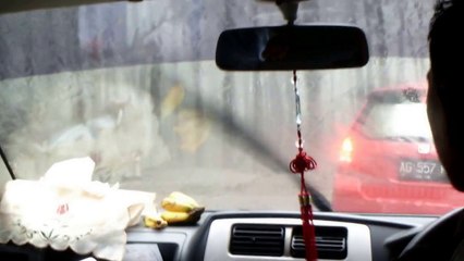 Sapinya Nggak Kelihatan