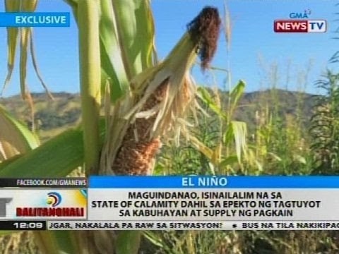 Maguindanao, isinailalim na sa state of calamity dahil sa epekto ng tagtuyot