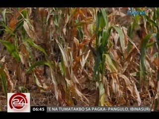 24 Oras: State of calamity, idineklara sa Maguindanao at Kidapawan city dahil sa epekto ng el niño