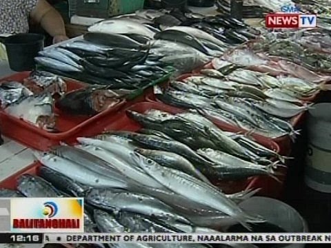 BT: Panayam kay BFAR Dir. Asis Perez kaugnay sa taas presyo ng ilang isda