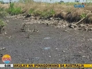 UB: 100 ektarya ng mga palaisdaan sa Pagadian City, natuyo dahil sa sobrang init