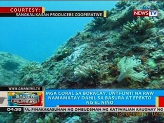 Mga coral sa Boracay, unti-unti na raw namamatay dahil sa basura at epekto ng El Niño