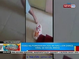 Video ng pomeranian dog na nag-lion dance viral sa social media