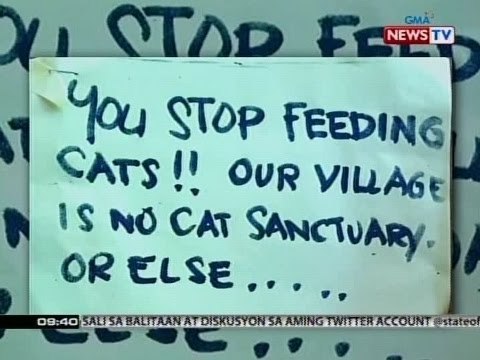 SONA: PETA, Nag-alok ng P50,000 pabuya sa makapagtuturo sa nambuhos ng paint thinner sa isang pusa