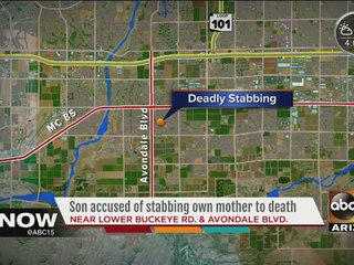 Son accused of stabbing mother to death in Avondale