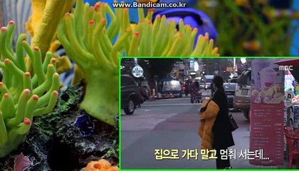 토토솔루션,토토제작,토토창업,자동마감토토솔루션,사설토토제작,토토프로그램 카톡: haricuty스카이프:cuty hary