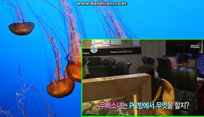 시카고홀짝솔루션 바카라최초도입 개경주,가상축구 임대및판매 카톡:haricuty 스카이프:cuty hary