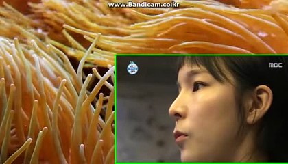 사설토토제작,토토솔루션 카톡:haricuty 스카이프:cuty hary