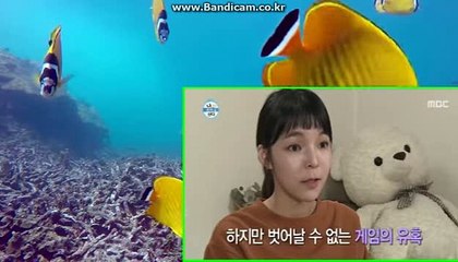 스포츠토토솔루션 카톡:haricuty 스카이프:cuty hary