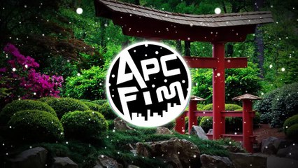 Steve Aoki & Boehm (ft. Walk the Moon) - Back 2 [ApcFim]