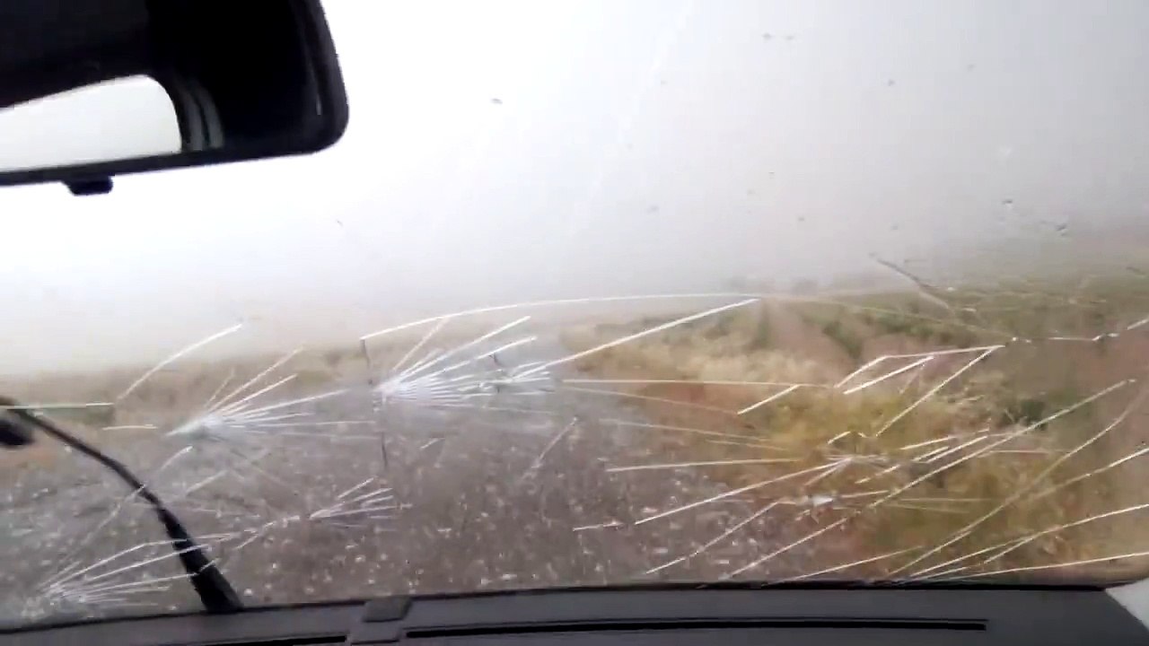 Car- 0 Hail +1,000