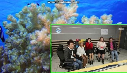 [CODSOFTsolution]솔루션제작,자판기제작,밸런스제작,통합프로그램