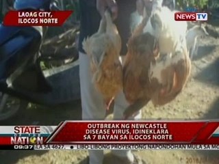 SONA: Outbreak ng Newcastle Disease Virus, idineklara sa 7 bayan sa Ilocos Norte