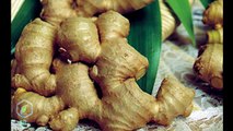 DRUGS LESSON LEARNED FROM BRAND back pain GINGER TREE