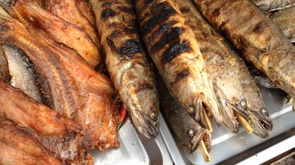 Discover the Best Khmer & Asian Street Food 🍜 | Episode 14