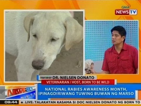 NTG: National Rabies Awareness Month, ipinagdiriwang tuwing buwan ng Marso
