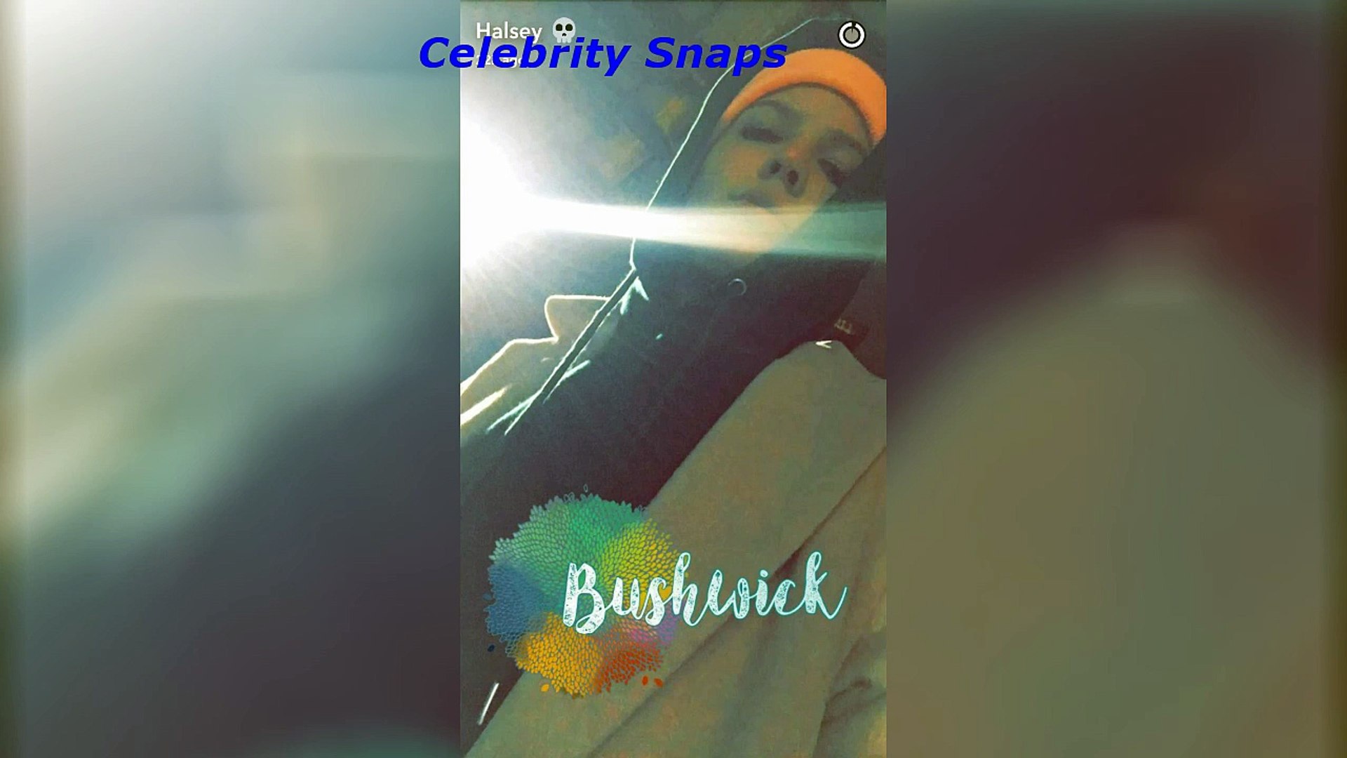 ⁣Halsey Snapchat Stories December 26th 2016 _ Celebrity Snaps