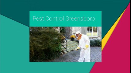 Mosquito Control Greensboro