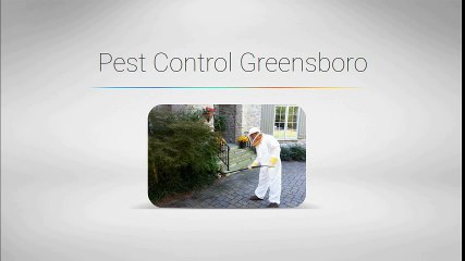 Pest Control Companies