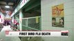 Hong Kong records winter's first bird flu death