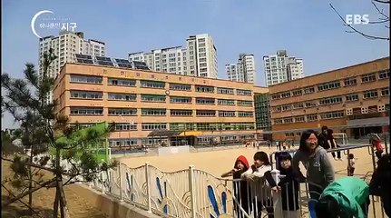 하나뿐인 지구 - Our sole earth_아이들의 위험한 놀이 화장 1부_#002