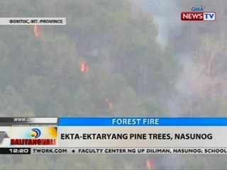 BT: Ekta-ektaryang pine trees, nasunog