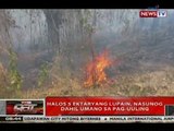 QRT: Halos 5 ektaryang lupain, nasunog dahil umano sa pag-uuling