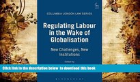 FREE [PDF]  Regulating Labour in the Wake of Globalisation: New Challenges, New Institutions