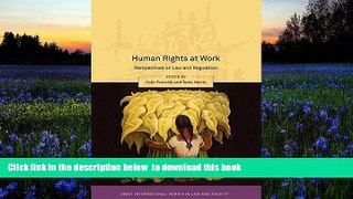 READ book  Human Rights at Work: Perspectives on Law and Regulation (Onati International Series
