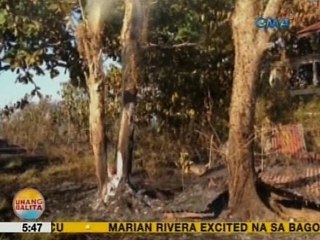 UB: Nasa 3 ektaryang bahagi ng kagubatan sa Romblon, 7 oras na nasunog